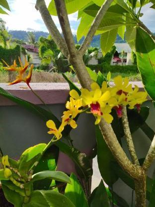 Ocean Lodge Langkawi Ngoại thất bức ảnh